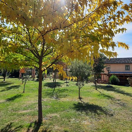 SassoMatto b&b BioAgrituRelax Campogialli Esterno foto