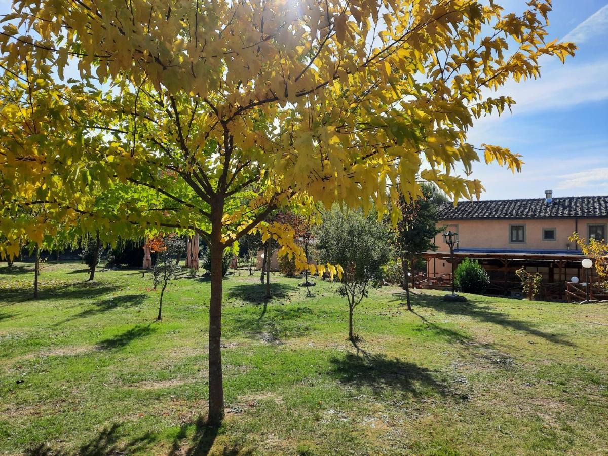 SassoMatto b&b BioAgrituRelax Campogialli Esterno foto