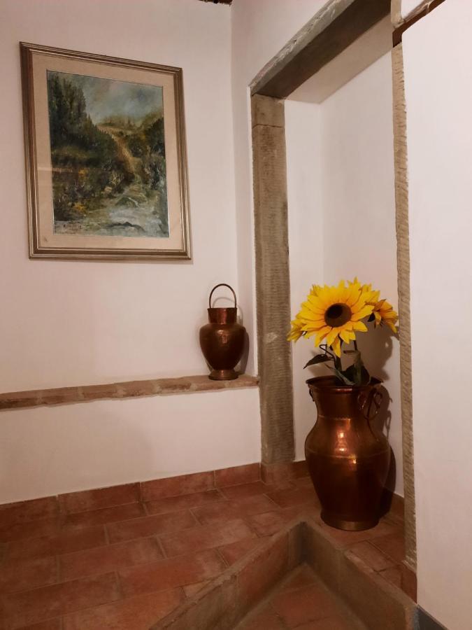 SassoMatto b&b BioAgrituRelax Campogialli Esterno foto